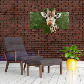 Tablou cu girafa (90x60 cm)