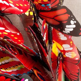 Tablou Butterfly 80cm x 80cm