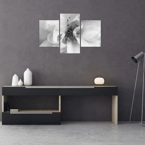 Tablou - Floare,alb-negru (90x60 cm)