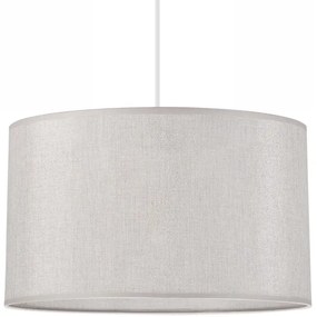 Lustră pe cablu MONTE 1xE27/60W/230V argintie