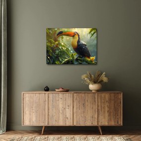 Tablou - Tukan (70x50 cm)