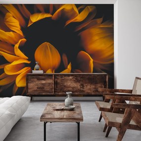 Fototapet - Floarea-soarelui în întuneric (147x102 cm)