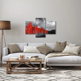 Tablou - Copaci în culorile toamnei (90x60 cm)