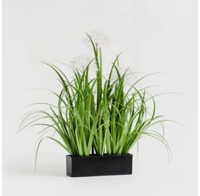 Floare decorativa Dandelico