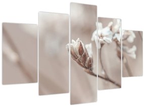 Tablou - Detaliu ramură (150x105 cm)