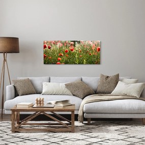 Tablou cu maci (120x50 cm)