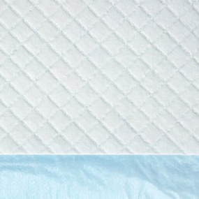 PawHut Set 100 Covoare Absorbante pentru Câini cu 6 Straturi, Covoare Igienice pentru Câini, 45x60 cm, Albastru | Aosom Romania