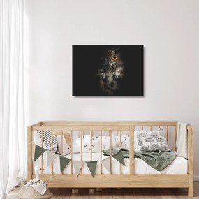 Tablou pe sticlă cu bufnița (70x50 cm)