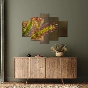Tablou cu plantă (150x105 cm)