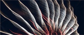Tablou - Descărcare de lumini (120x50 cm)