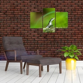 Tablou cu șopârlă (90x60 cm)