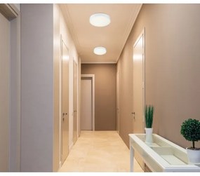 Globo 12364-30 - LED plafonieră dimabilă LED/28W/230V