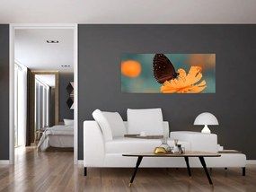 Tablou - fluture pe o floare portocalie (120x50 cm)