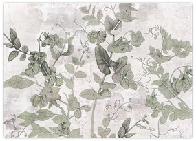 Tablou pe sticlă - Plante in ipsos (70x50 cm)