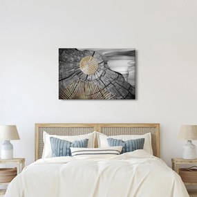 Tablou - Trunchiul copacului colaj (90x60 cm)