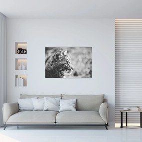 Tablou - Pisica (90x60 cm)