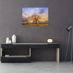Tablou - Peisaj cu floarea soarelui (70x50 cm)