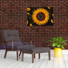 Tablou pe sticlă - Floarea soarelui și petale (70x50 cm)