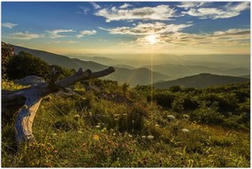 Tablou - Priveliștea (90x60 cm)