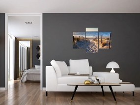 Tablou - Drum spre plaja din Marea Nordului, Țările de Jos (90x60 cm)