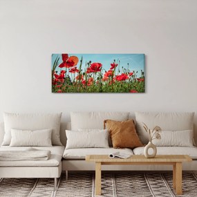 Tablou - Pe câmpul cu maci (120x50 cm)