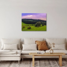 Tablou cu lunca (70x50 cm)