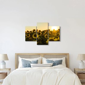 Tablou cu lan de floarea soarelui (90x60 cm)