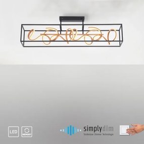 Paul Neuhaus 6473-18 - LED Lustră dimmabilă pe tijă SELINA 4xLED/10,2W/230V