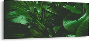 Tablou - Frunze de palmier (120x50 cm)