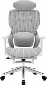 MONZA E16 Executive – Scaun Ergonomic Premium, Reglaje Avansate, Suport Lombar Reglabil pe Înălțime, Tetieră Reglabilă, Cotiere 3D, Șezut Extensibil, Reclinare 135°, Suport pentru Picioare și Bază Metalică, Mesh, Gri
