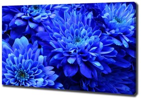 Tablou canvas Aster albastru