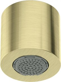 Palarie de dus fixa Deante 4,2 cm auriu
