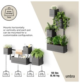 Ghivece 4 buc. din plastic pentru ierburi aromatice de perete Cubiko – Umbra