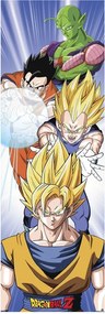 Poster Dragon Ball - Saiyans