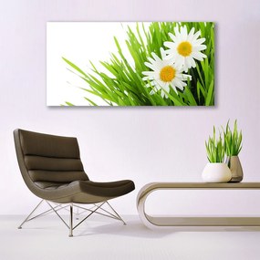 Tablou pe panza canvas Iarbă Margarete Floral Verde Galben Alb