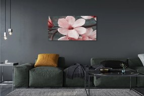 Tablouri canvas flori roz