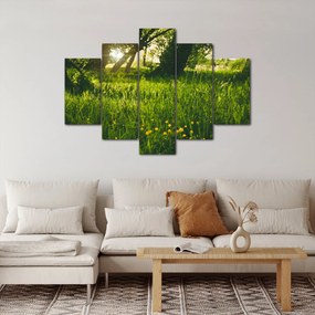 Tablou cu natura - lunca (150x105 cm)
