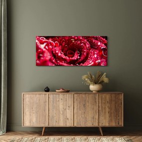 Tablou cu floarea trandafirului roșu (120x50 cm)