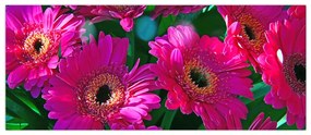 Tablou - floare (120x50 cm)