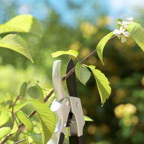 Outsunny Set de 3 foarfece pentru grădină, set de tăiere pentru grădinărit, cu lamă ascuțită, din metal și aluminiu, argintiu negru | Aosom Romania