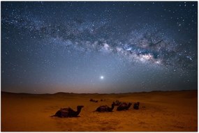 Tablou - Noapte in deșert (90x60 cm)