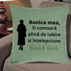 Cadou pentru Bunica - Perna Personalizata Bunica Mea Comoara Iubire Intelepciune Silueta cu Nepoata, 40x40 cm, Verde, Husa Detasabila, Perna Inclusa, BEKZ®