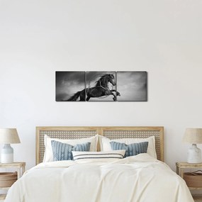 Tablou - Cal alb și negru (cu ceas) (90x30 cm)