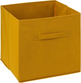 Cutie pentru depozitare 31X31 cm