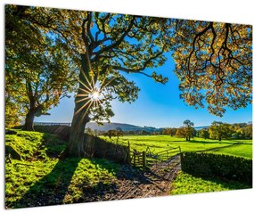 Tablou Privire la câmp (90x60 cm)