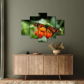 Tablou cu fluture pe floare (150x105 cm)