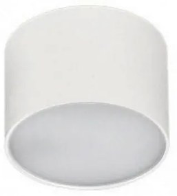 Spot LED aplicat MONZA R 12 3000K alb