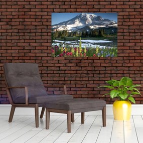 Tablou - Muntele Rainier (90x60 cm)