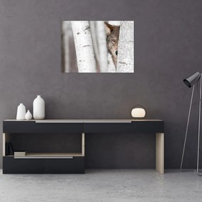 Tablou - Lup (70x50 cm)