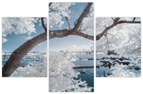 Tablou cu copac înzăpezit lângă apă (90x60 cm)